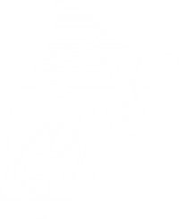 LogoClanNosferatu.png